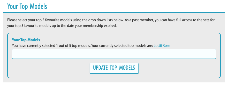 top-model-selector.png